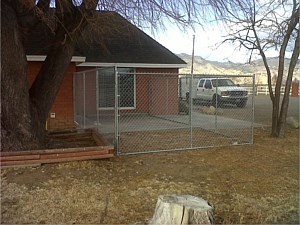 Dog Kennel 12