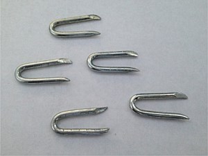 #9 Fence Staples
