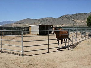 Horse Corral Panels 1