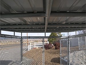 Corrugated Metal Dog Kennel Roof