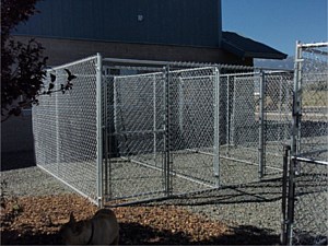 Dog Kennel 13