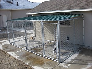 Custom Dog Kennel w/ corrugated metal roof