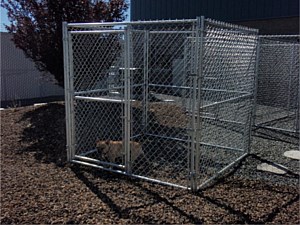 Dog Kennel 15
