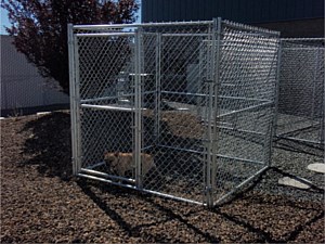 Kennels