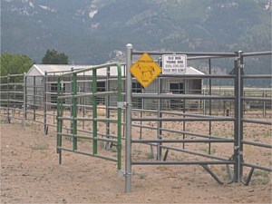 Horse Corral Panels 4