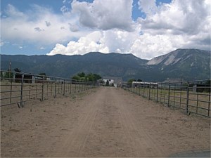 Horse Corral Panels 7