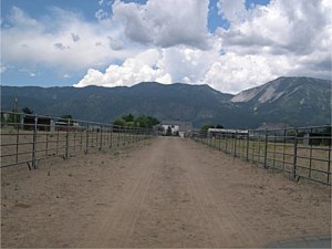 Horse Panels & Gates