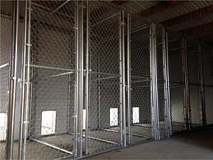 Dog Kennel 5