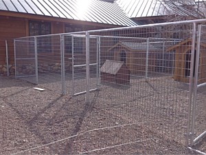 Dog Kennel 6