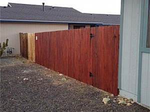 6ft tall Red Wood Stained Fence 1