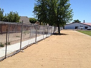 Standard 6'tall Rental Fence