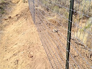 Non-climb Wire Fence 3