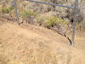 Non-climb Wire Fence 4