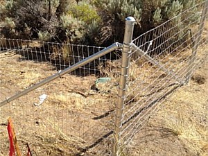 Non-climb Wire Fence 5