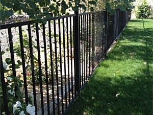 Regal Iron Fence 7
