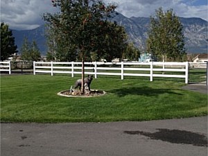 3rail Vinyl Fence 1