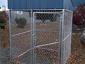 Dog Kennel with a corrugated metal roof.