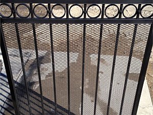 Custom Iron Gate w/ Scrolls