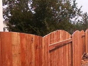 Arched Redwood Fence 2