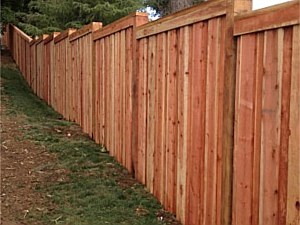 Custom 6' Privacy Wood Fence 1