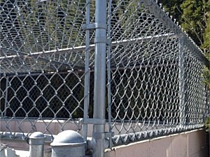 Chain Link Cage 3