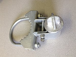 Bulldog with Ball Plug