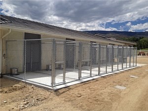 Dog Kennel 7