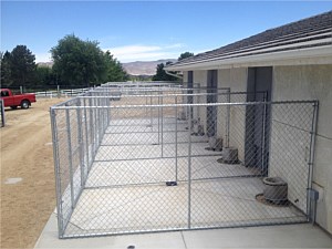 Dog Kennel 8