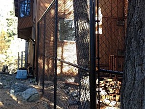 Custom Dog Kennel with Coyote Rollers 2