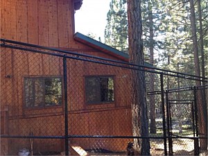 Custom Dog Kennel with Coyote Rollers 3
