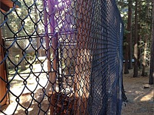 Custom Dog Kennel with Coyote Rollers 6