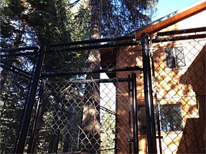 Custom Dog Kennel with Coyote Rollers 8