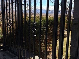 Custom Iron Railing 1