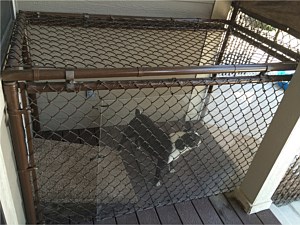 Kennel Tops 3