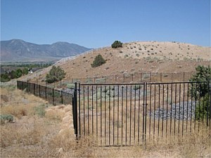 Iron Regal Style Fence 2