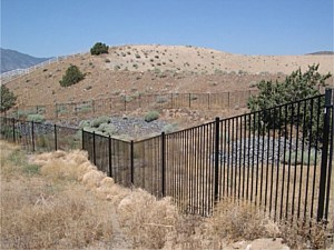 Iron Regal Style Fence 3