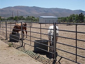 Horse Corral Panels 9