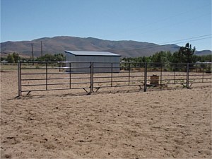 Horse Corral Panels 10