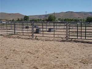 Horse Corral Panels 11