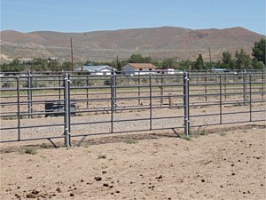 Horse Corral Panels 12
