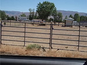 Horse Panels & Gates