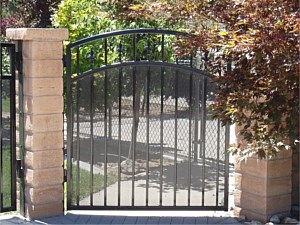 Custom Arched Iron Walk Gate with Mesh