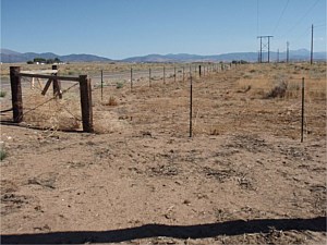 Barbwire Fence 2