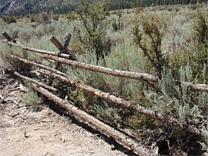 Cross Buck Rustic Style Fence