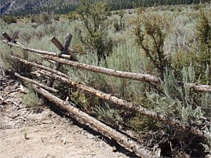 Wood Rail Fence