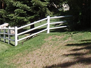3rail White Vinyl Fence 2