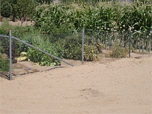 Non-climb Garden & Horse Fence 2