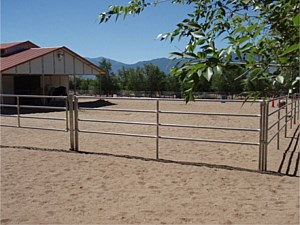 Horse Corral Panels 16