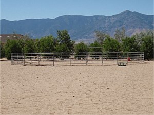 Horse Corral Panels 18