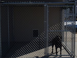 Dog Kennel 14